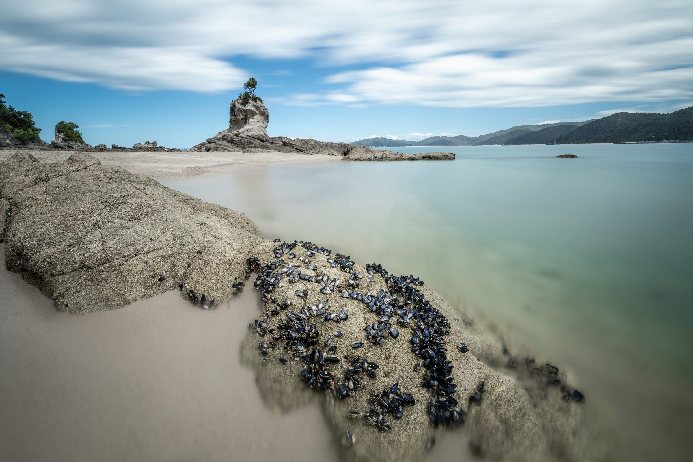 Mussel-covered rocks on a beach with a rock stack beyond