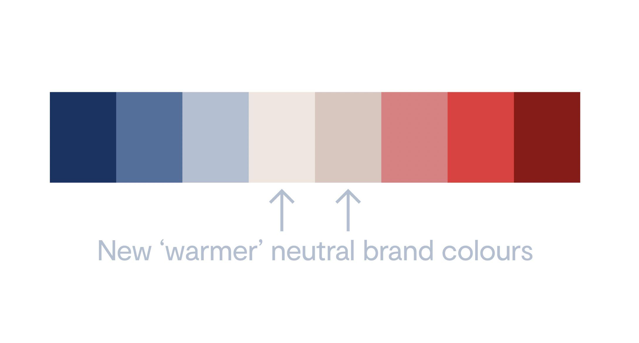 The brand palette, from navy through warmer neutrals to red