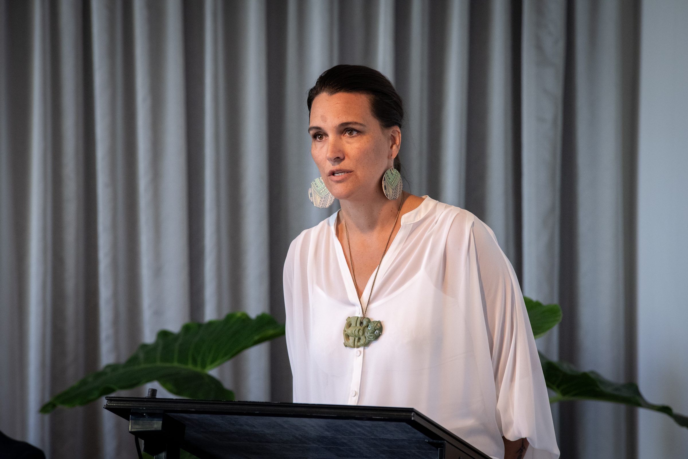 A speaker at a lectern during the signing