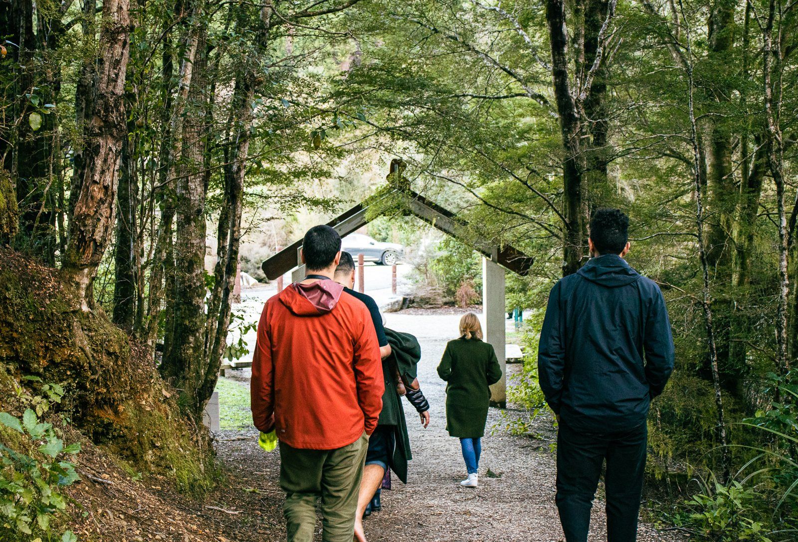 A small group walks a bush track towards a carved waharoa